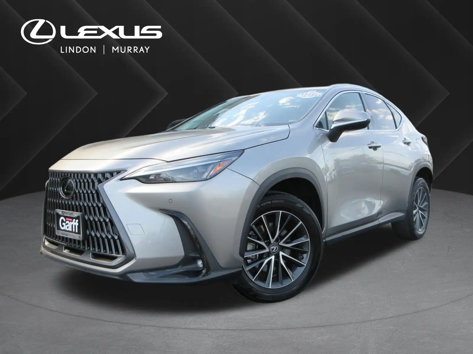 2023 Lexus NX 350 350 Premium AWD's photo