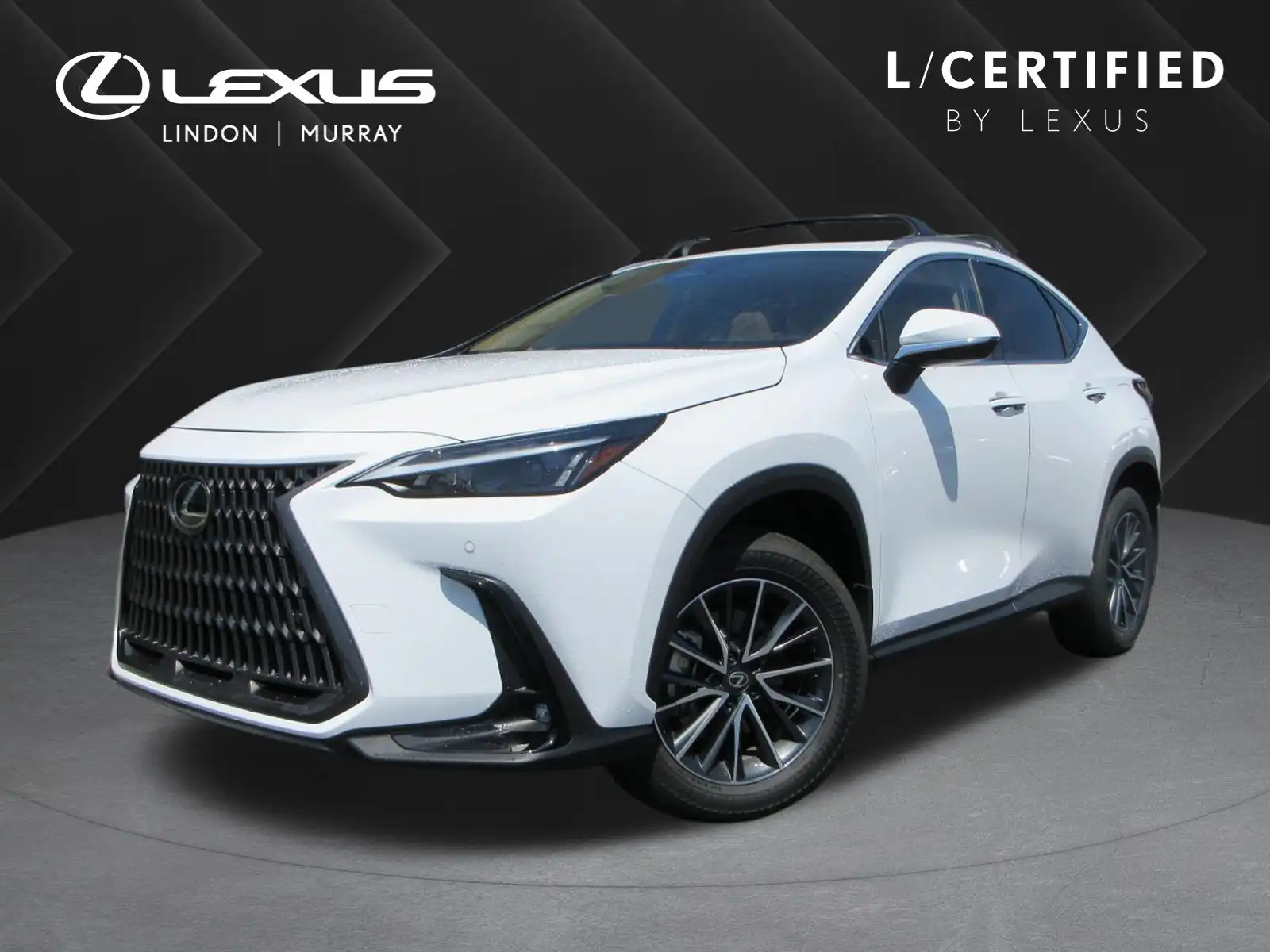 2026 Lexus NX 350h 350h Premium AWD's photo