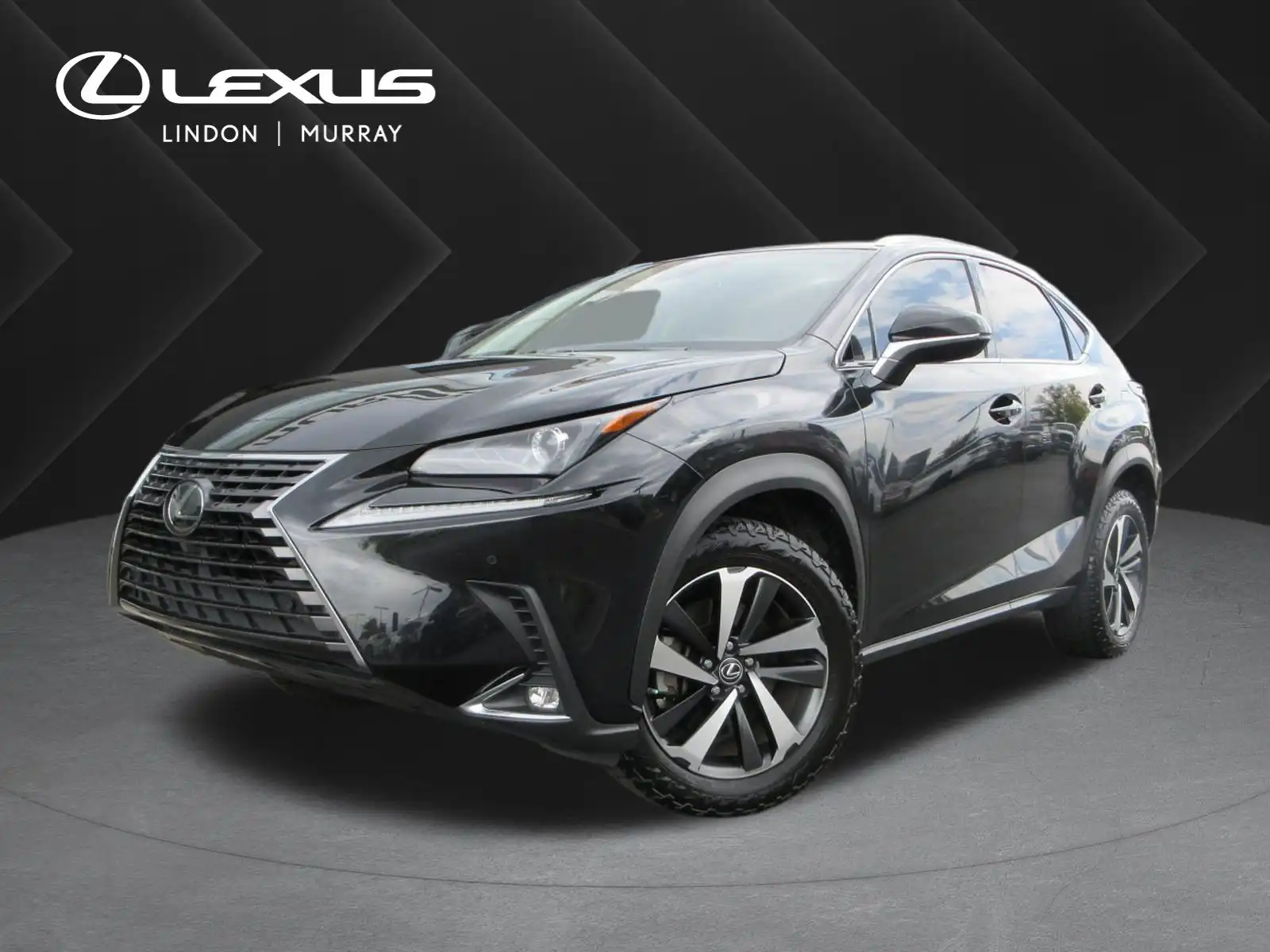 2021 Lexus NX 350 300 AWD's photo