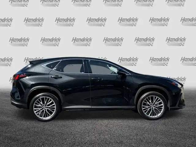 2024 Lexus NX 350h 350h Luxury AWD's photo