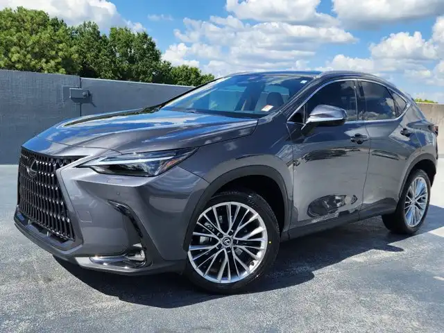 2024 Lexus NX 350's photo