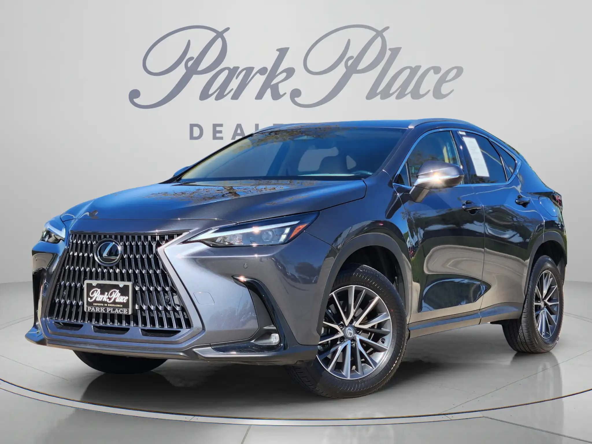 2026 Lexus NX 350 350 AWD's photo
