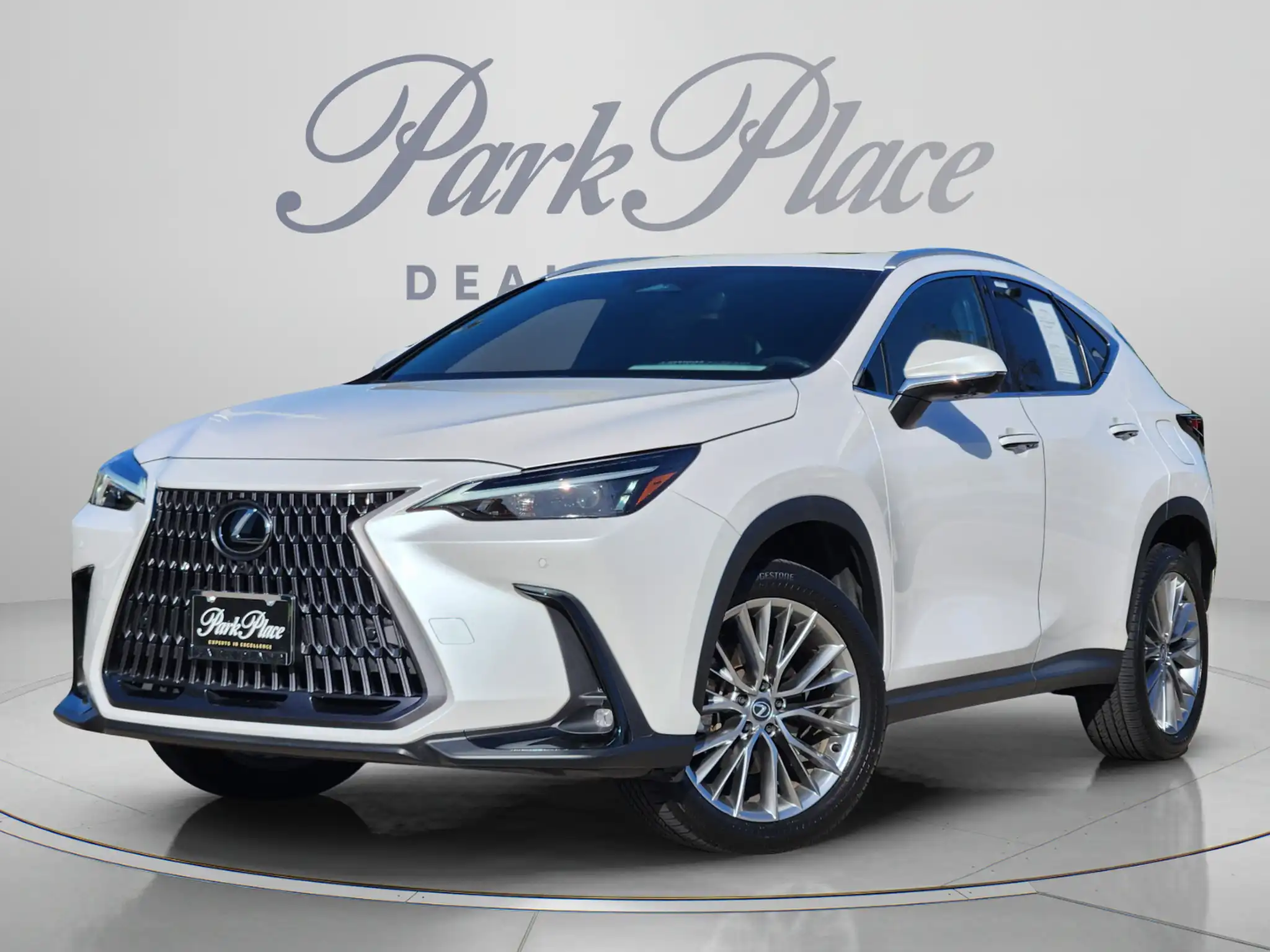 2025 Lexus NX 350 350 Premium AWD's photo