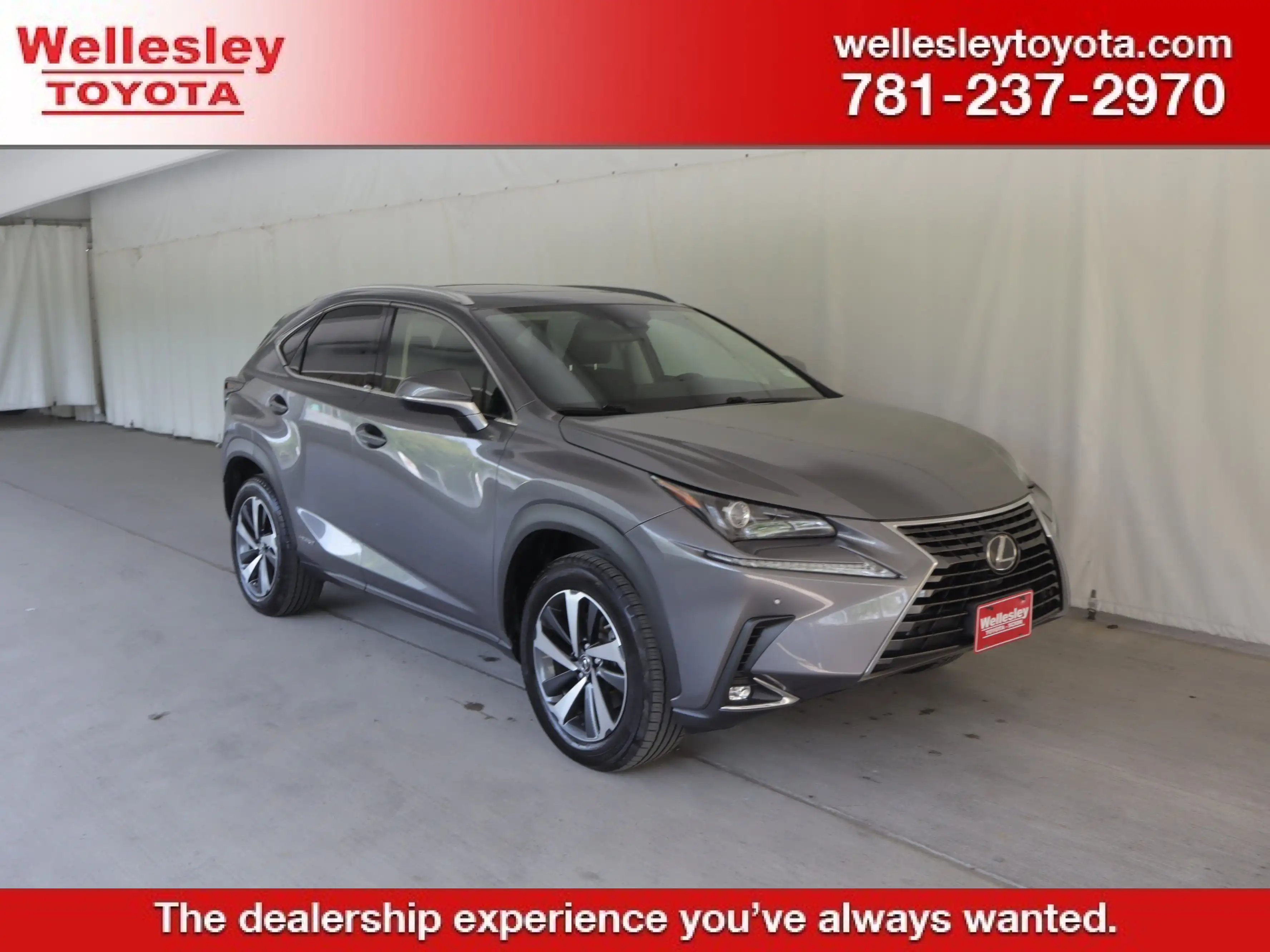 2020 Lexus NX 350h 300h AWD's photo