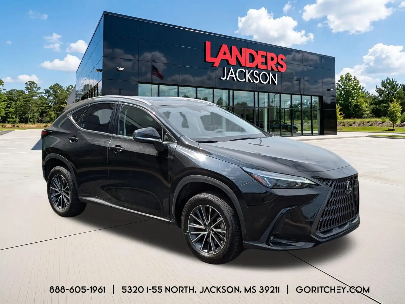 2024 Lexus NX 350h 350h AWD's photo