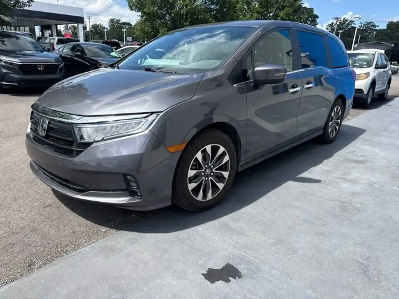 2024 Honda Odyssey EX-L's photo