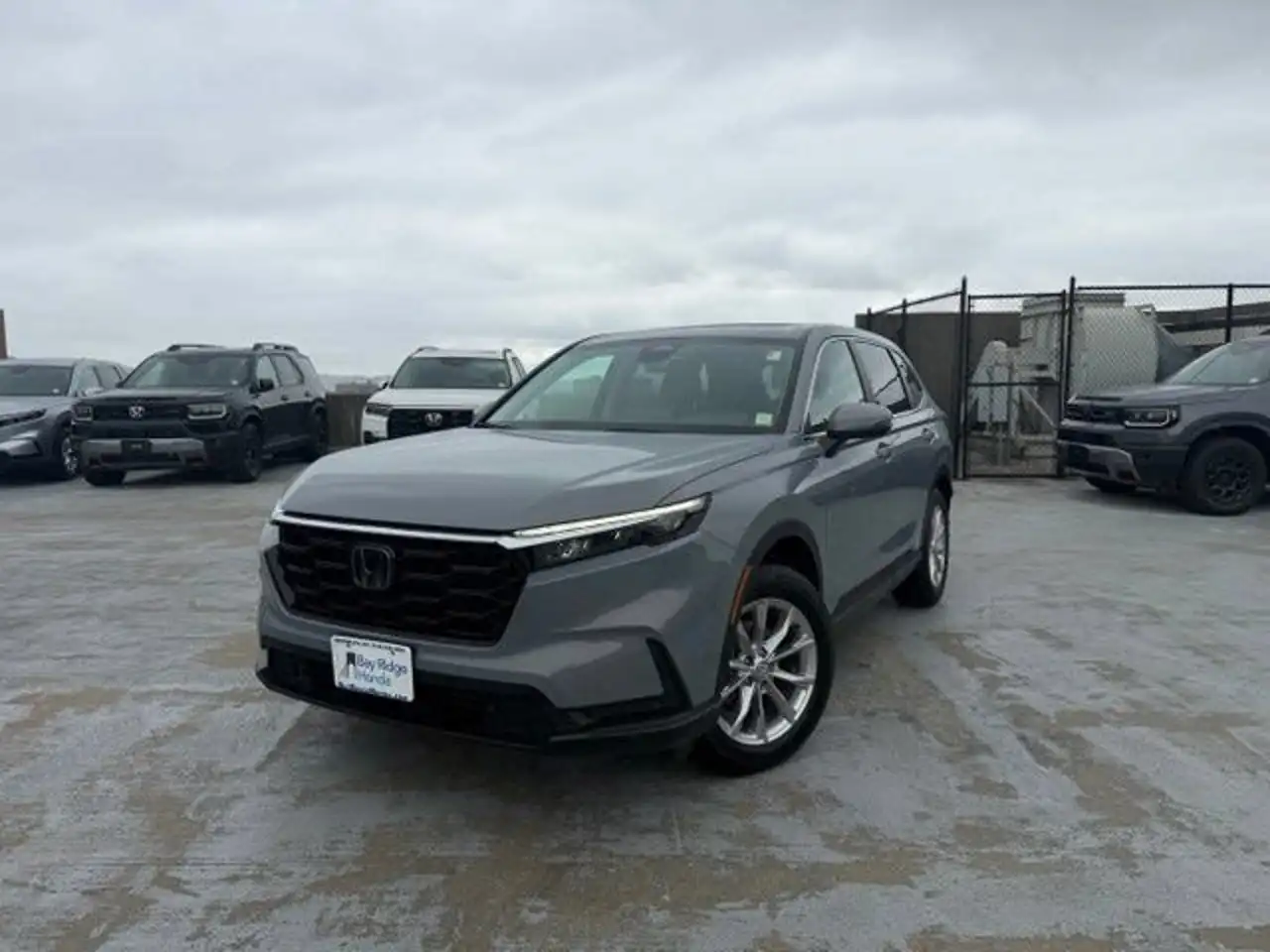 2024 Honda CR-V EX-L AWD's photo