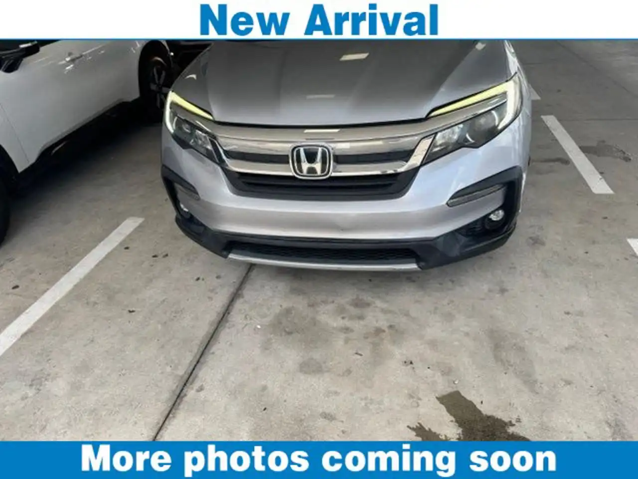 2019 Honda Pilot 2WD EX-L's photo