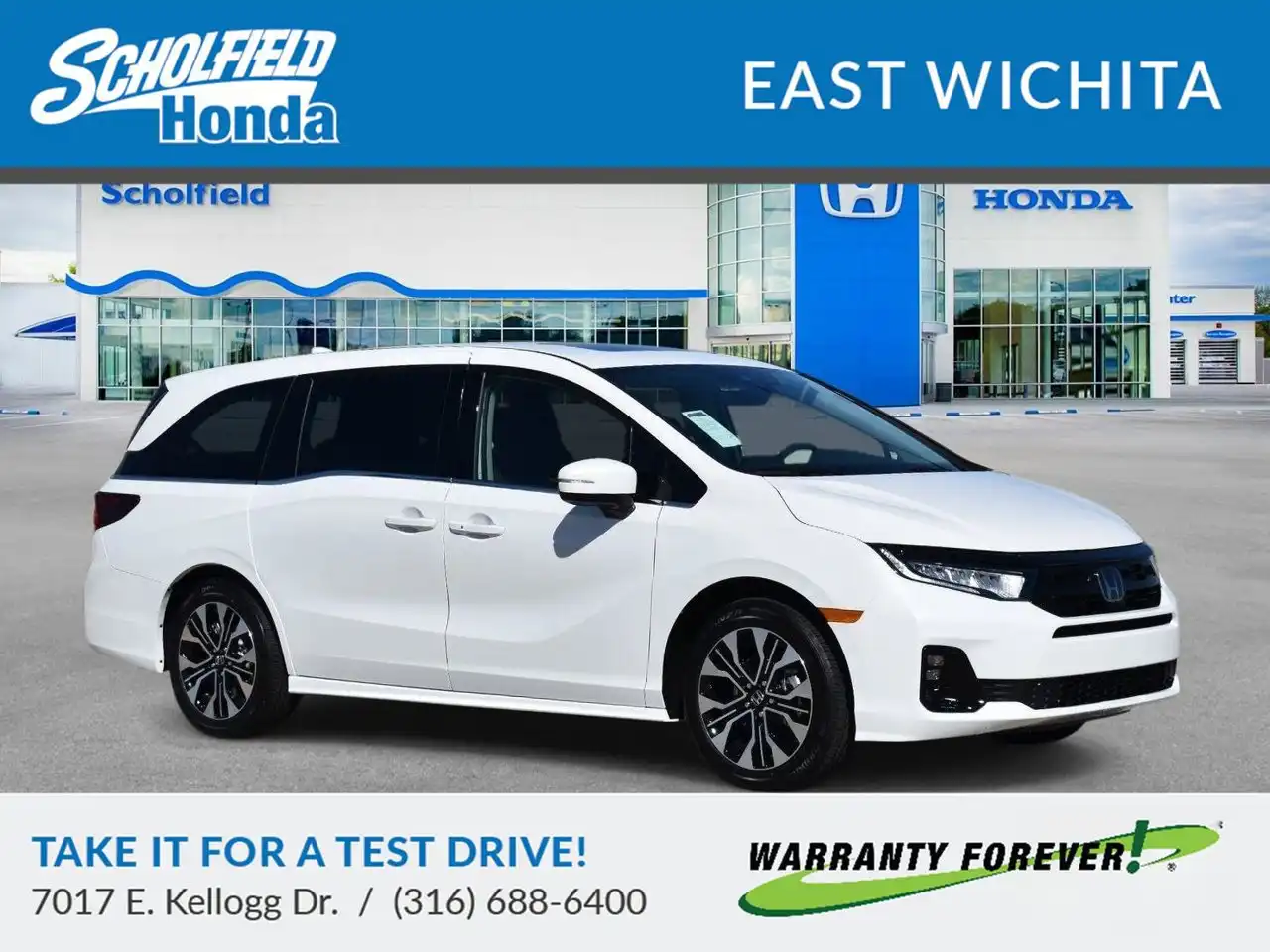 2026 Honda Odyssey Elite's photo