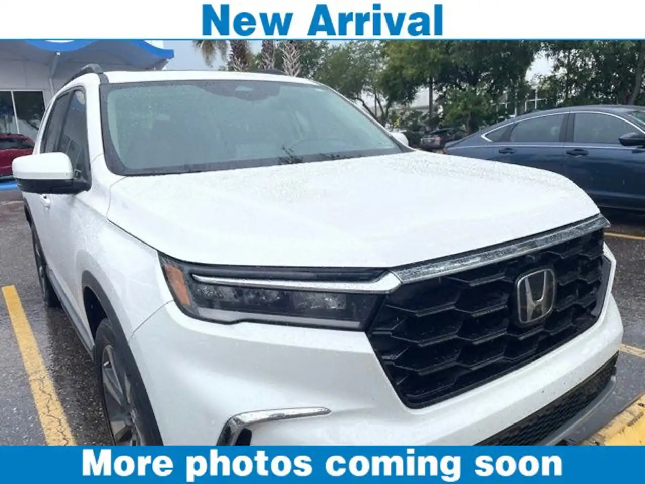2023 Honda Pilot Elite AWD's photo