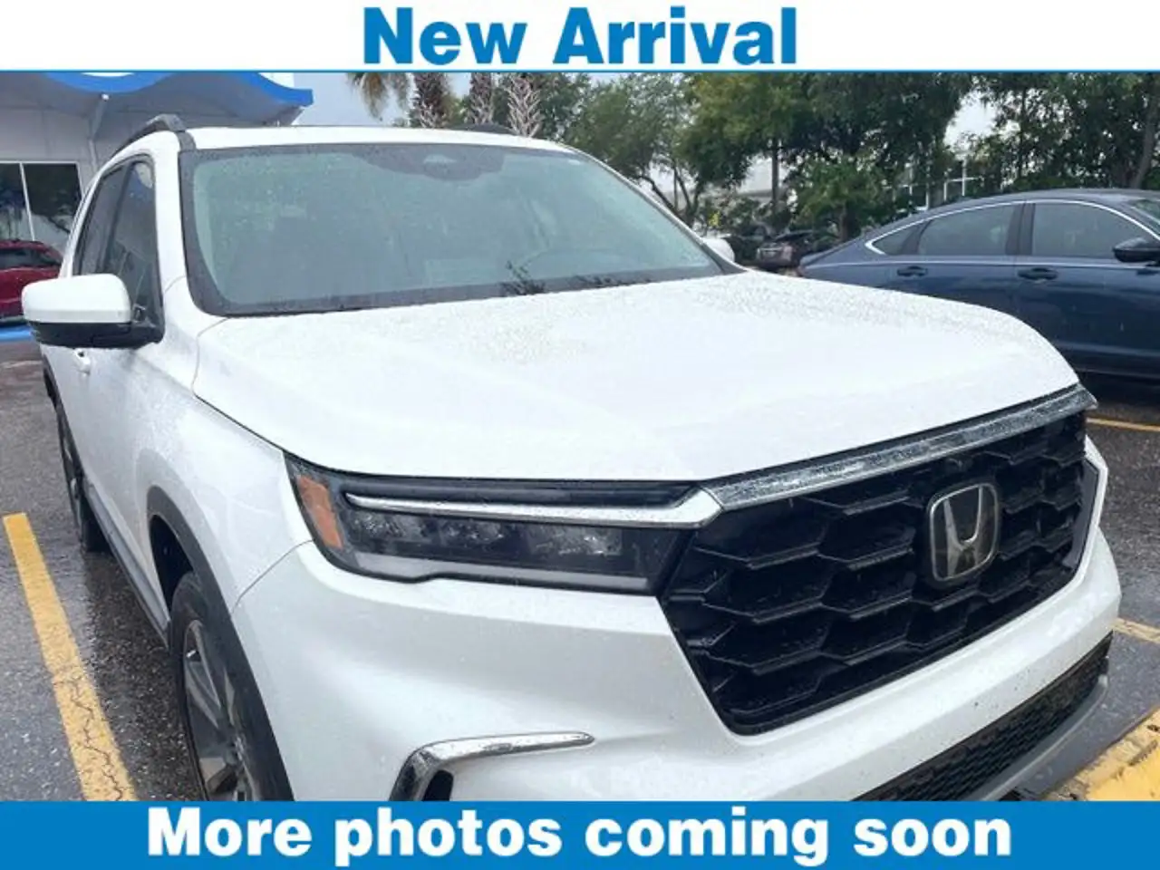 2023 Honda Pilot Elite AWD's photo