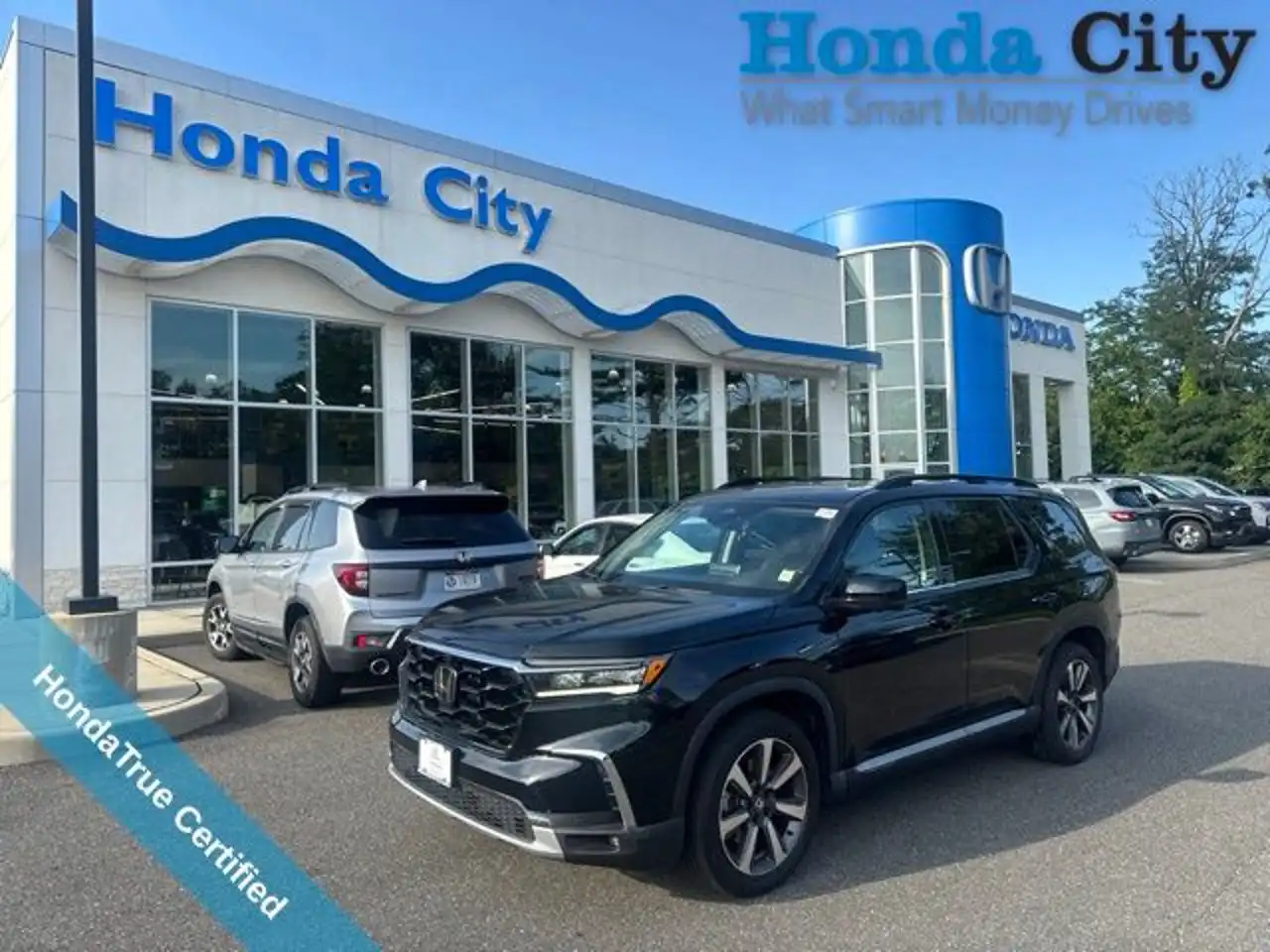 2023 Honda Pilot Elite AWD's photo