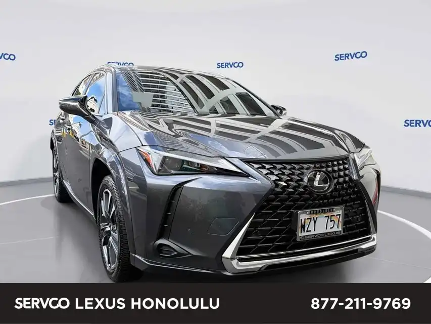 2024 Lexus UX 300h 250h Premium's photo