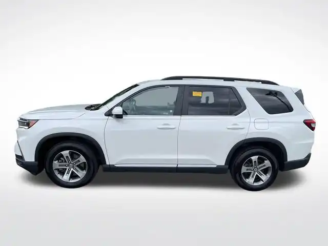 2024 Honda Pilot EX-L 8-Occupant AWD's photo