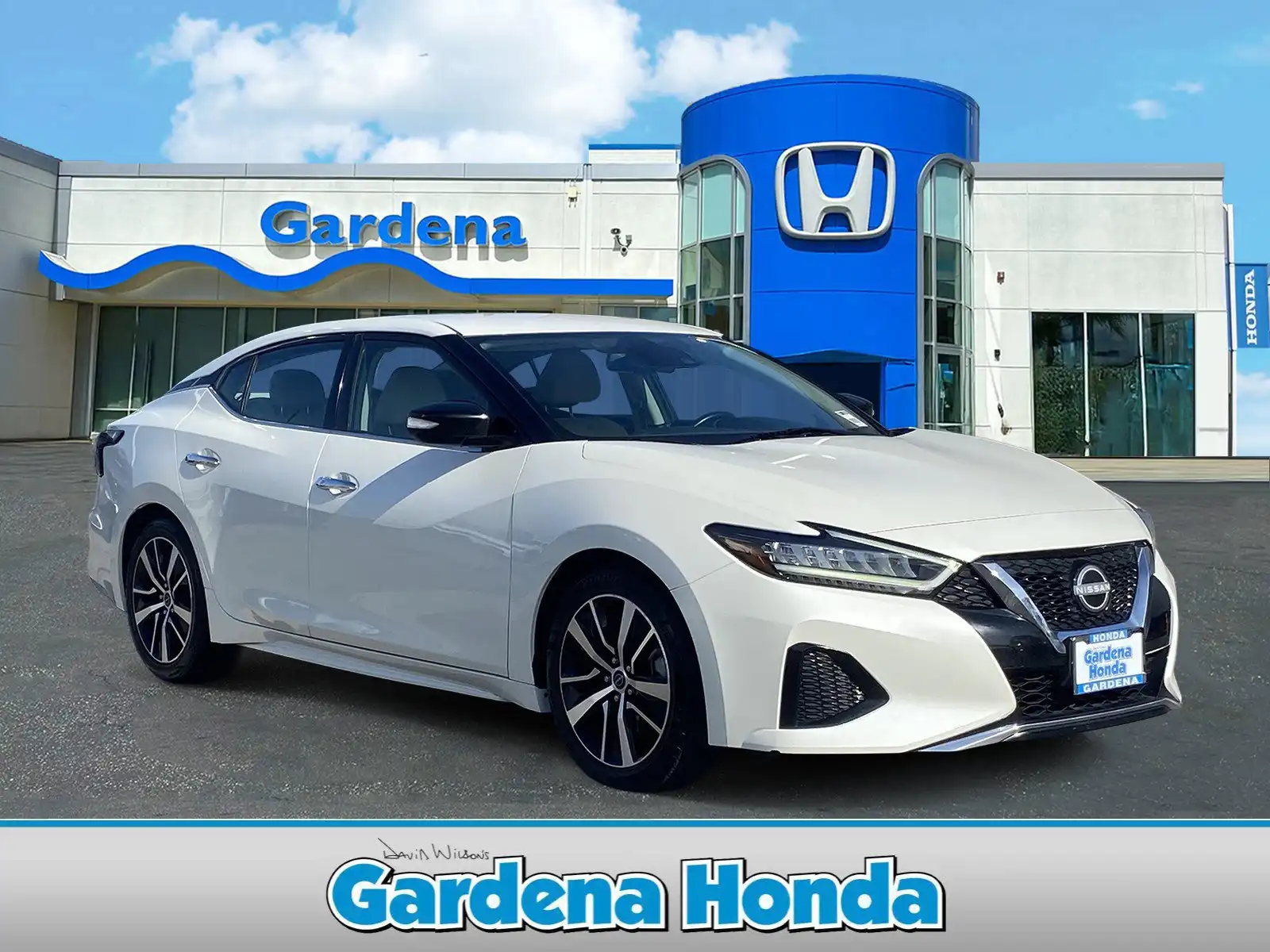 2023 Nissan Maxima SV's photo