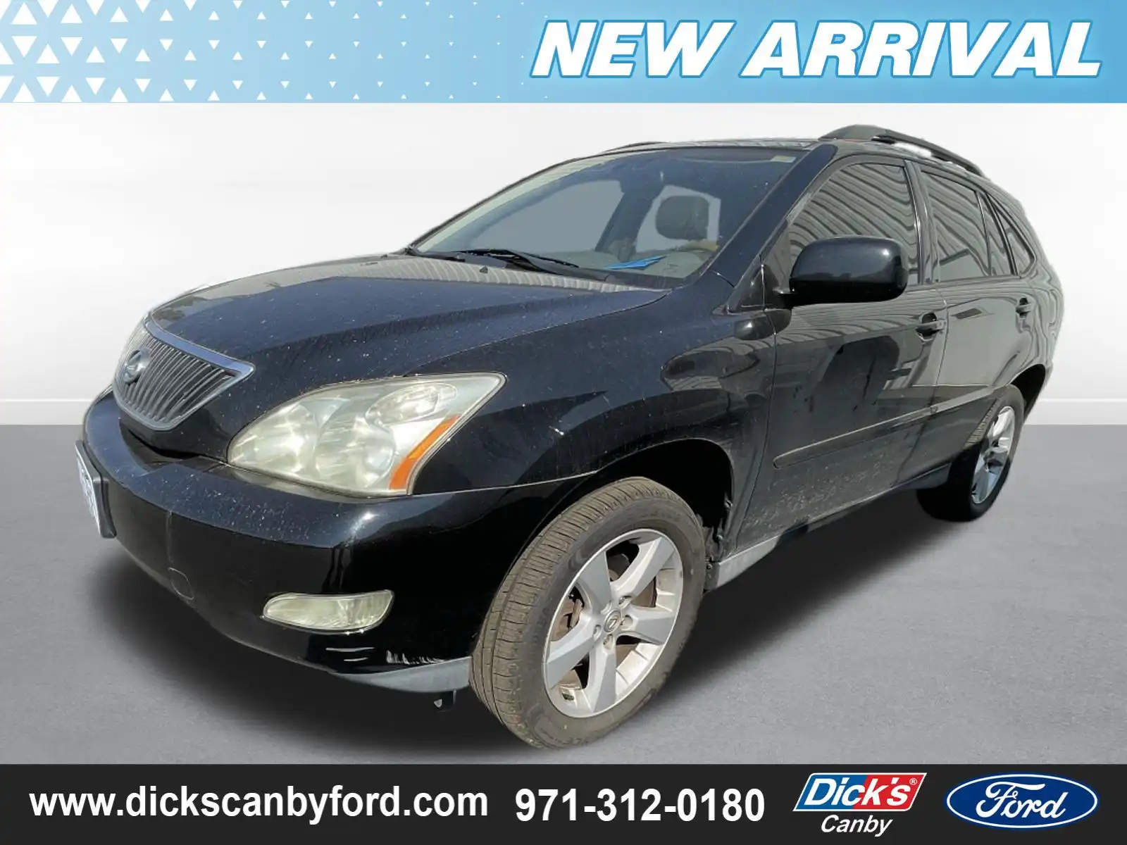 2006 Lexus RX 350 330's photo