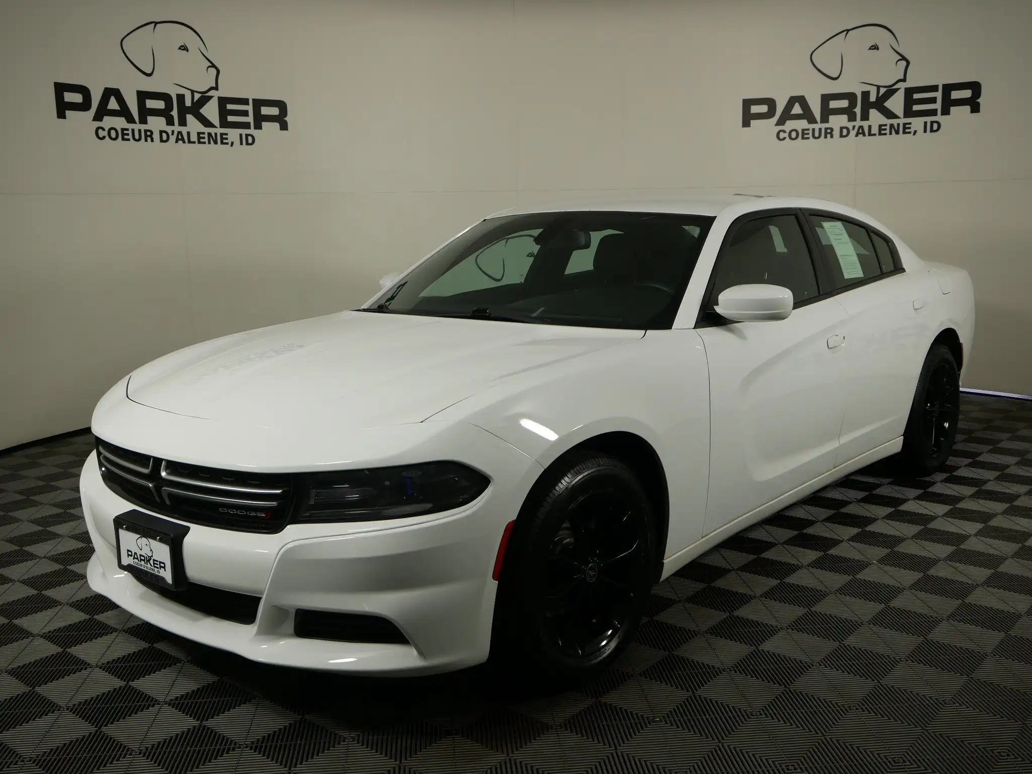 2015 Dodge Charger SE's photo
