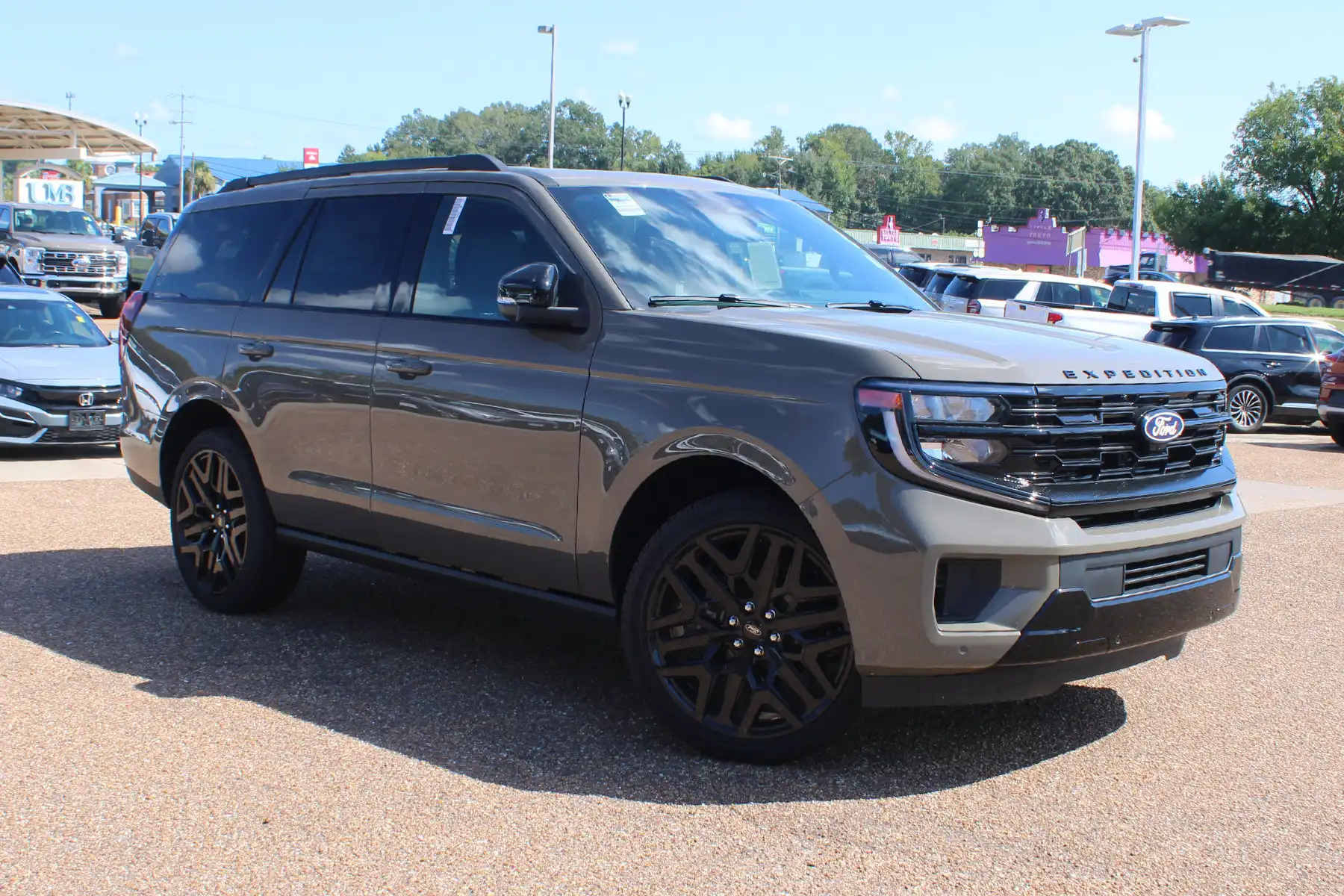 2027 Ford Expedition Platinum 4WD's photo