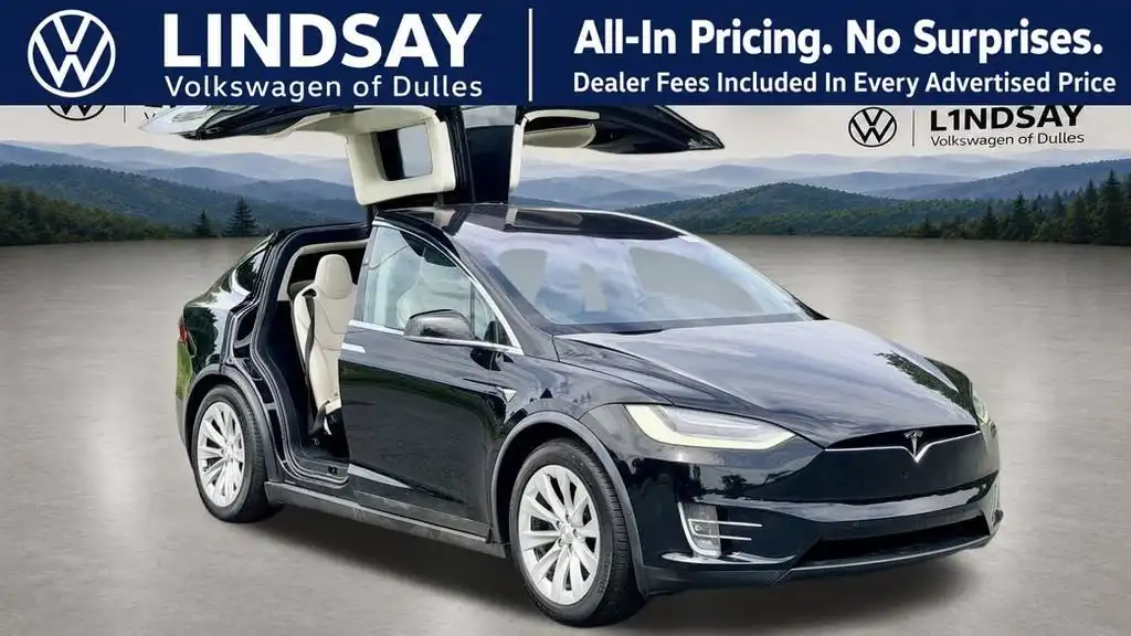 2019 Tesla Model X Standard Range's photo