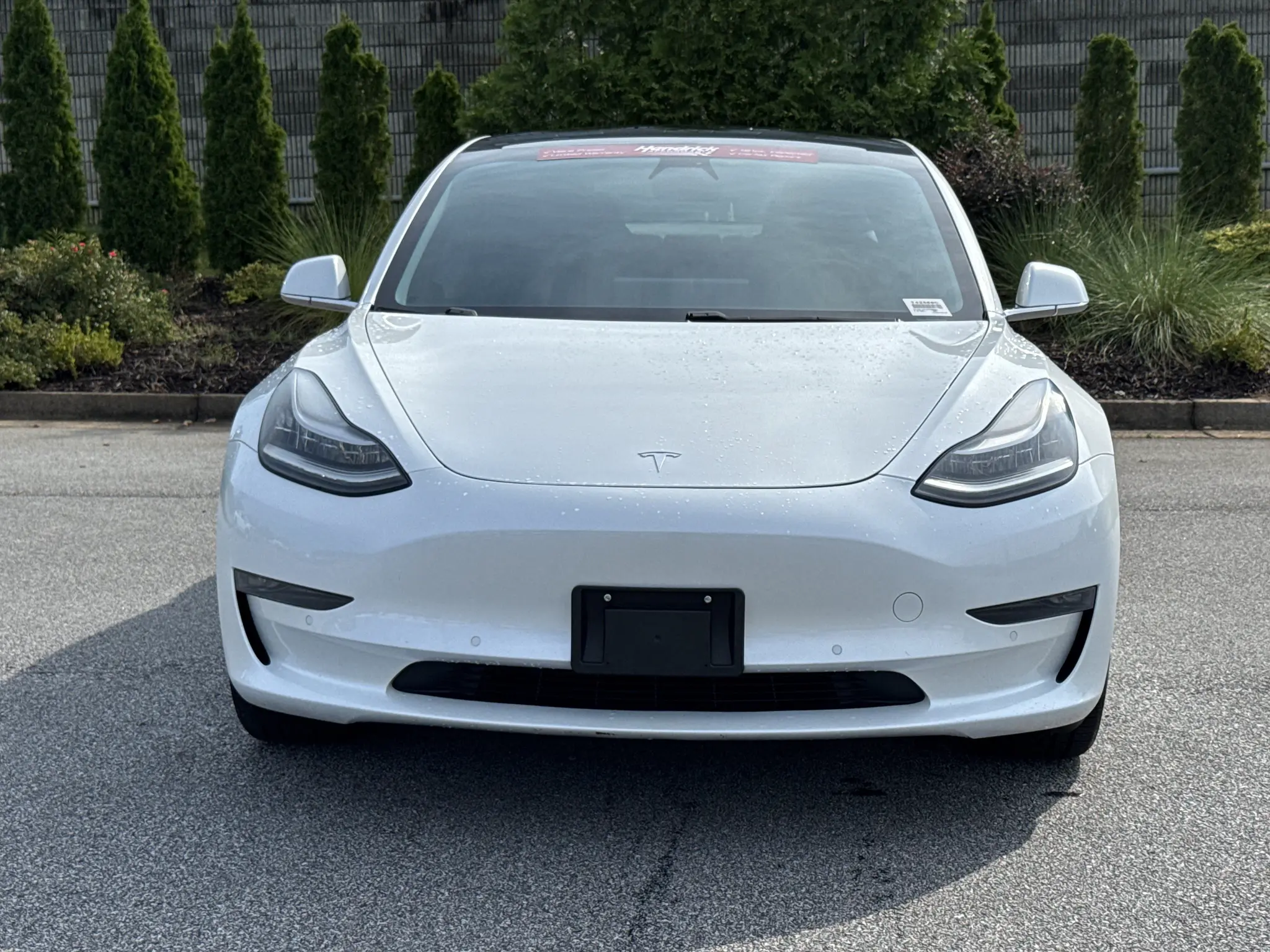2019 Tesla Model 3 Standard Range photo 3