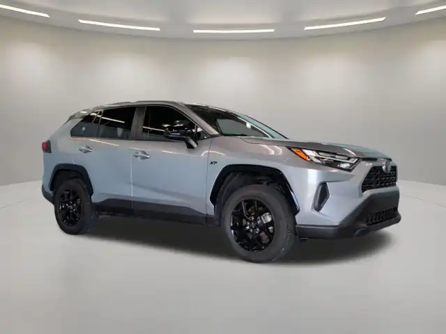 2023 Toyota RAV4 LE FWD's photo