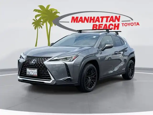 2021 Lexus UX 300h 250h AWD's photo