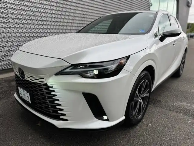 2023 Lexus RX 350 350 Premium FWD's photo