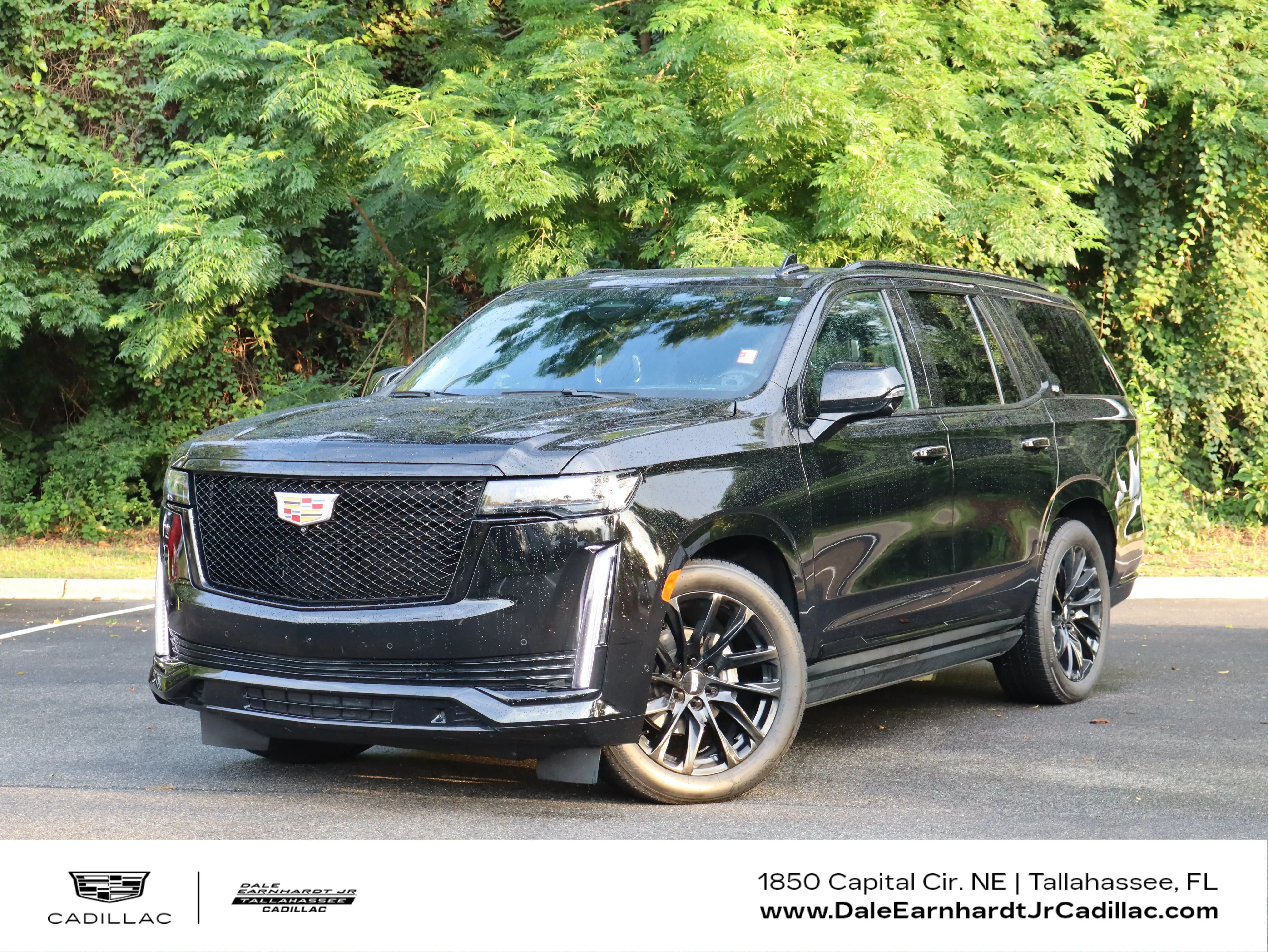 2023 Cadillac Escalade 4WD Sport Platinum's photo