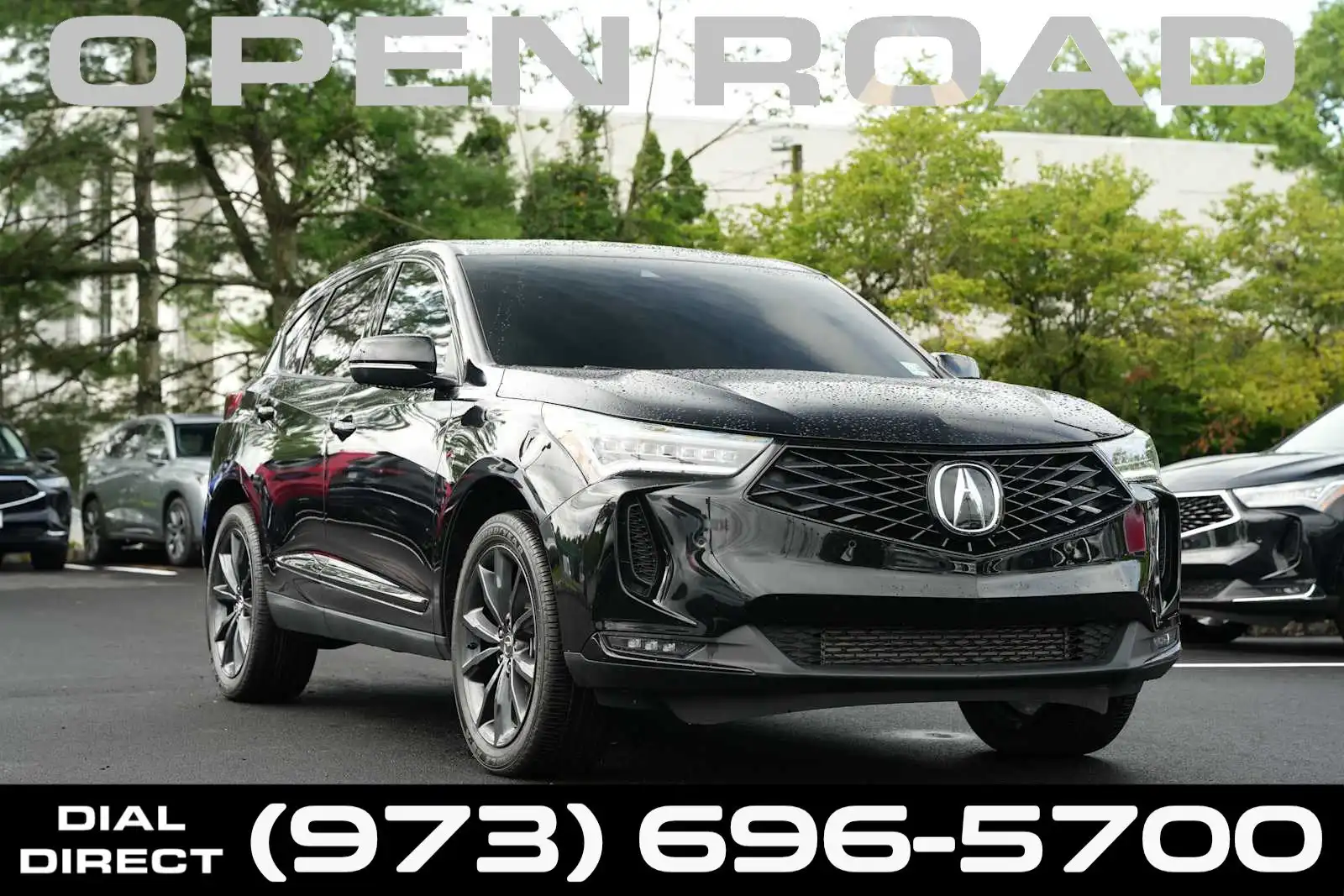2025 Acura RDX A-Spec Package SH-AWD's photo