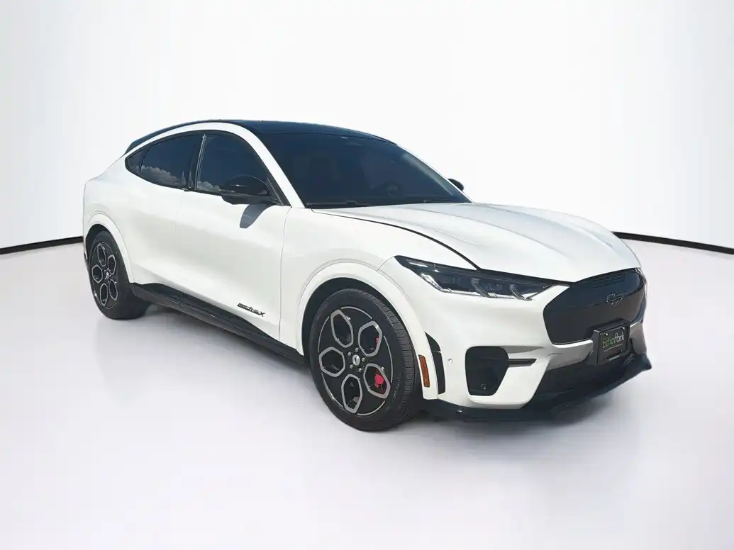 2023 Ford Mustang-Mach-e GT's photo