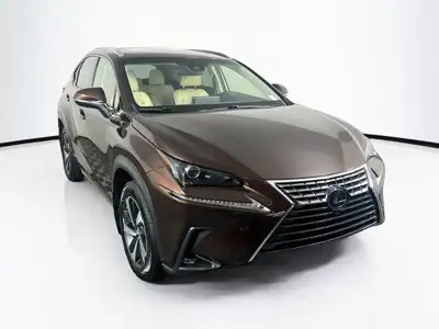 2019 Lexus NX 350h 300h AWD's photo
