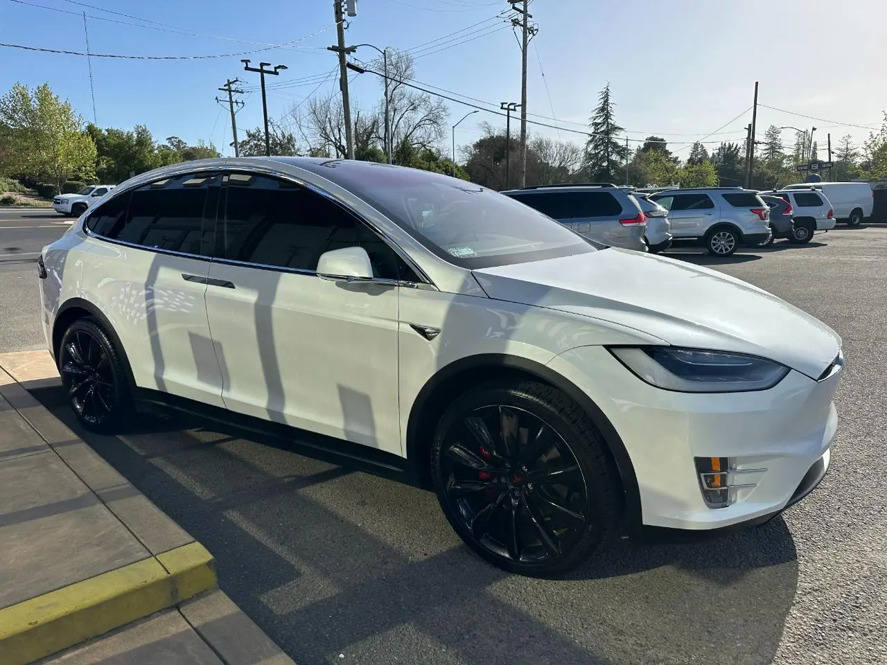 2020 Tesla Model X Performance photo 4