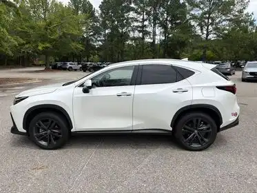 2024 Lexus NX 450h+ 450+ Luxury AWD's photo