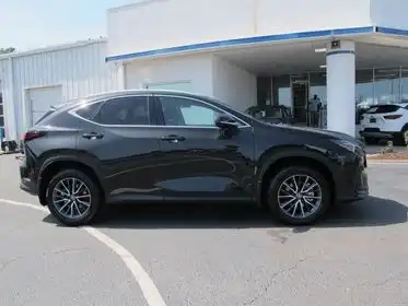 2025 Lexus NX 350 350 Premium AWD's photo