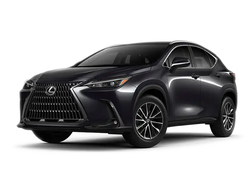 2024 Lexus NX 350 350 AWD's photo