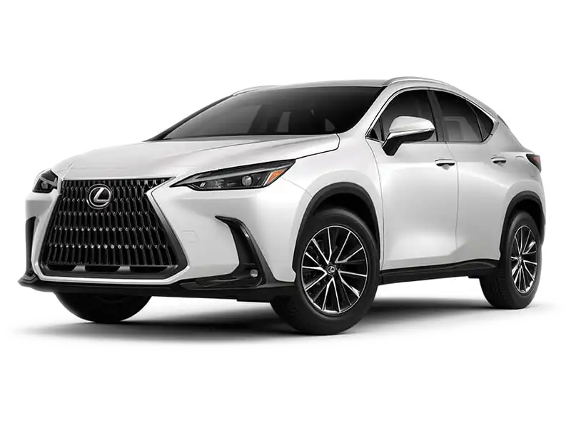 2024 Lexus NX 350 350 AWD's photo