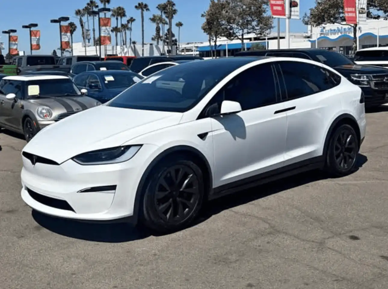 2024 Tesla Model X Long Range's photo