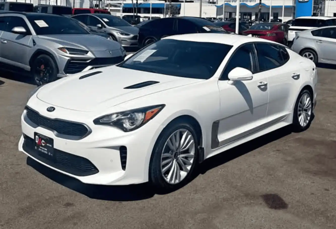2019 Kia Stinger Stinger's photo