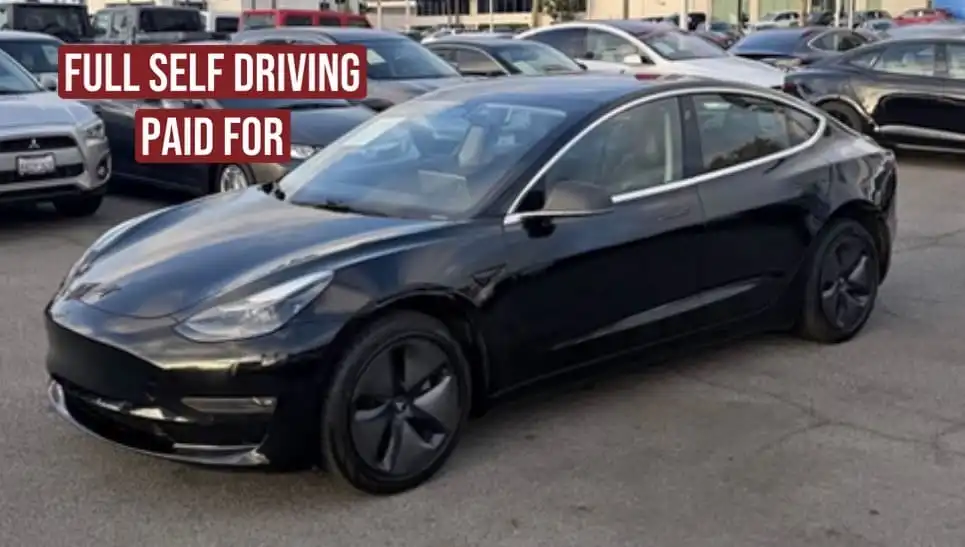 2019 Tesla Model 3 Standard Range Plus's photo