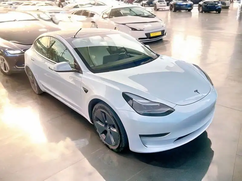 2022 Tesla Model 3 Long Range Dual Motor All-Wheel Drive's photo