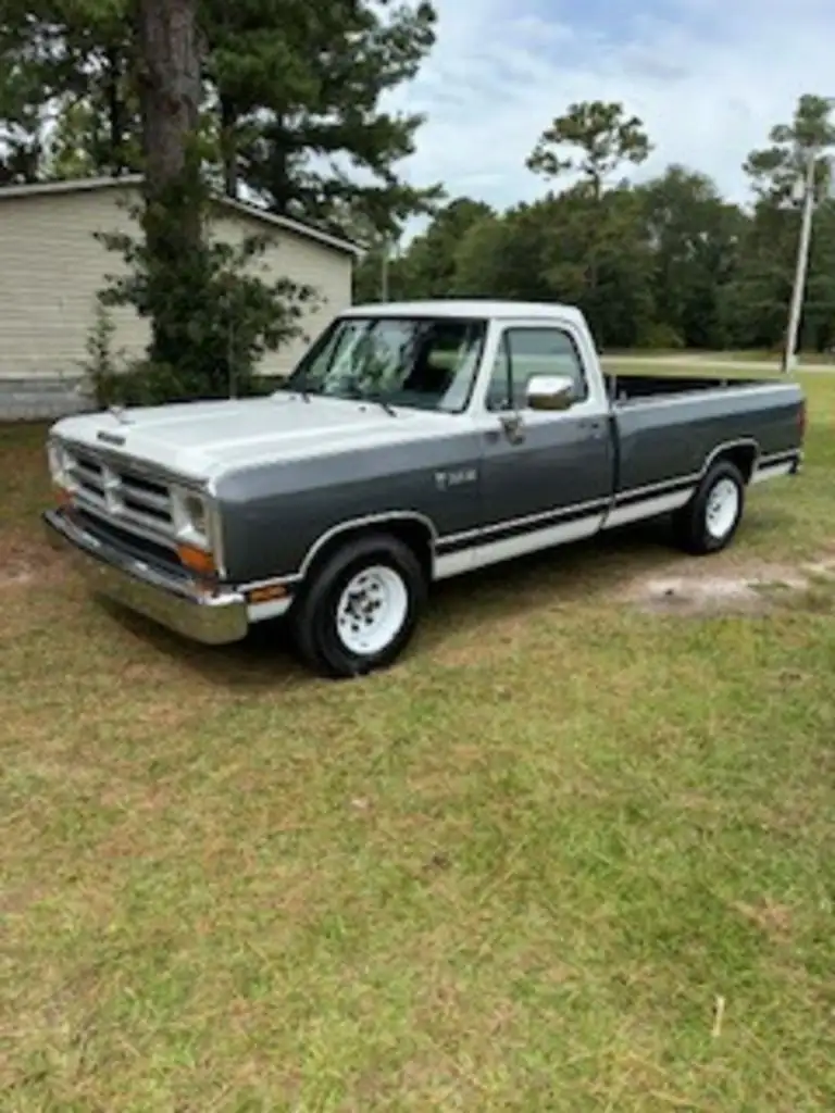 1990 Dodge D-Series's photo