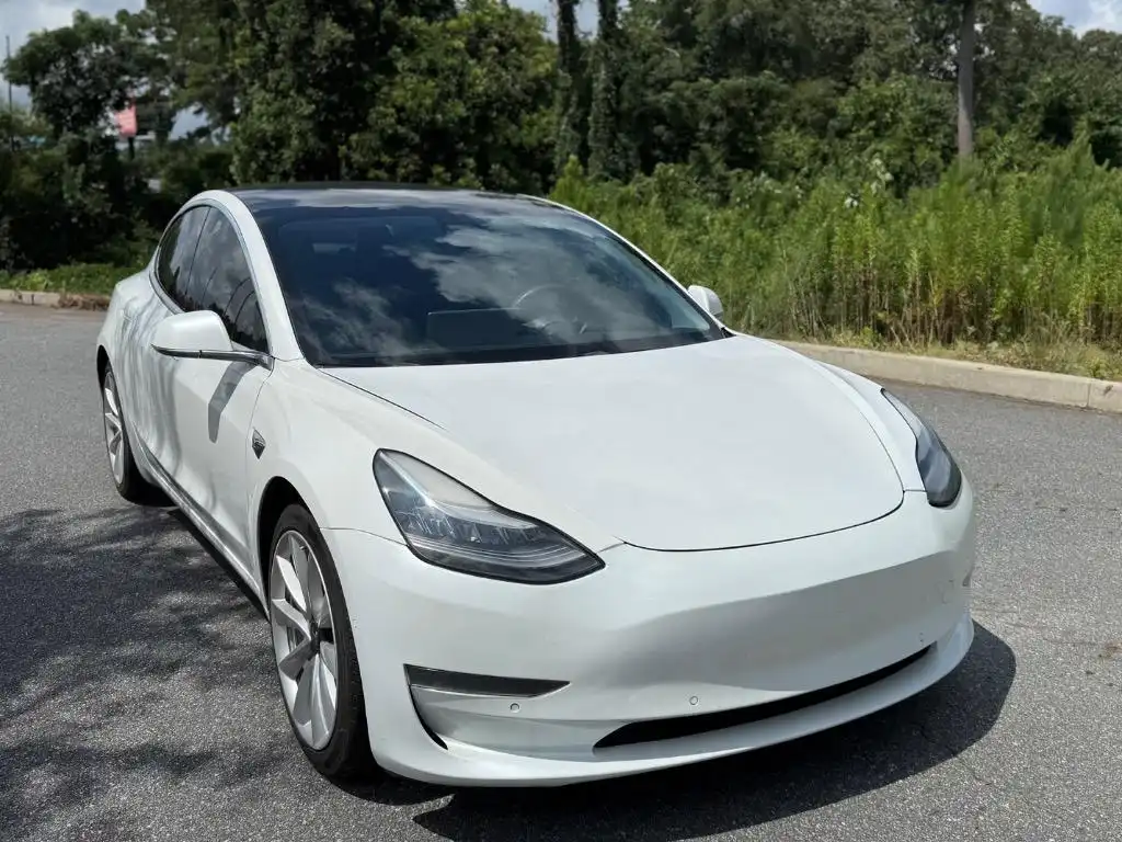 2019 Tesla Model 3 Standard Range Plus's photo