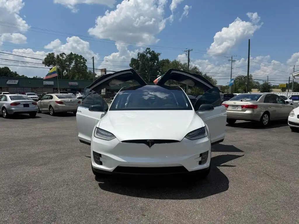 2019 Tesla Model X Long Range's photo