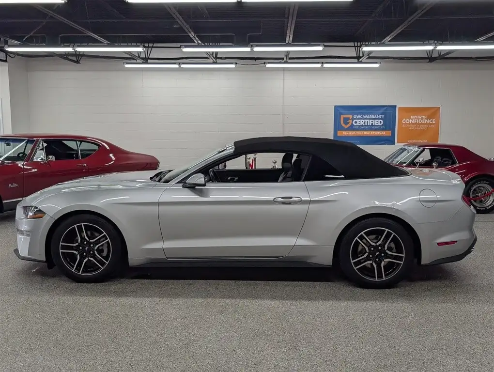 2019 Ford Mustang EcoBoost Convertible Premium's photo