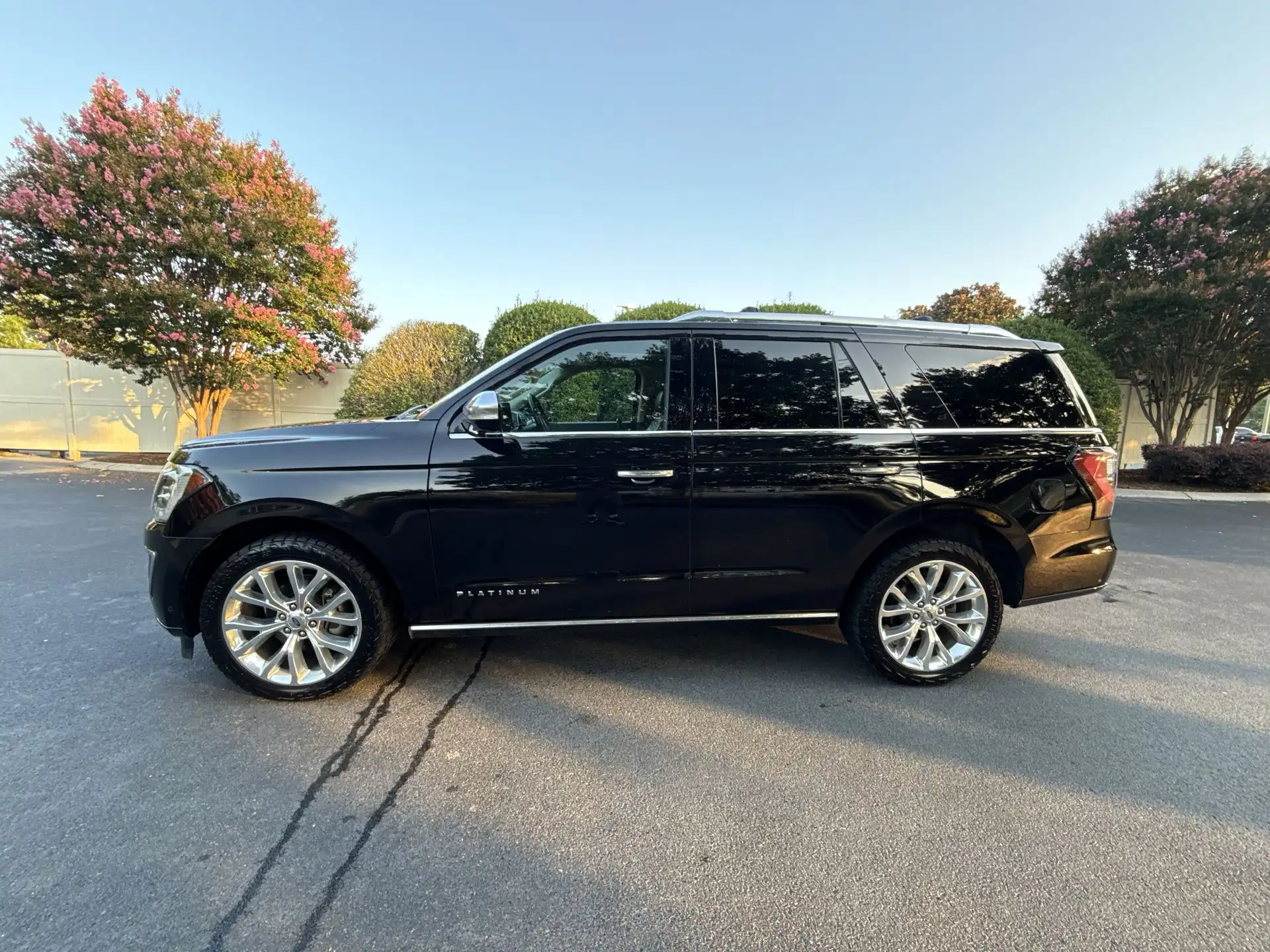 2019 Ford Expedition Platinum 4x4's photo