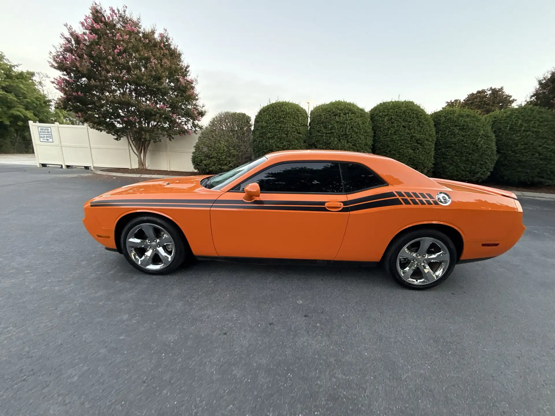 2014 Dodge Challenger SXT Plus's photo