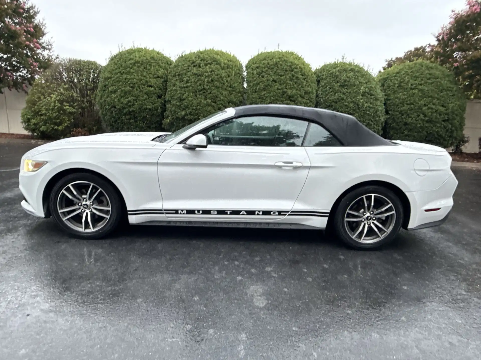 2016 Ford Mustang EcoBoost Convertible Premium's photo