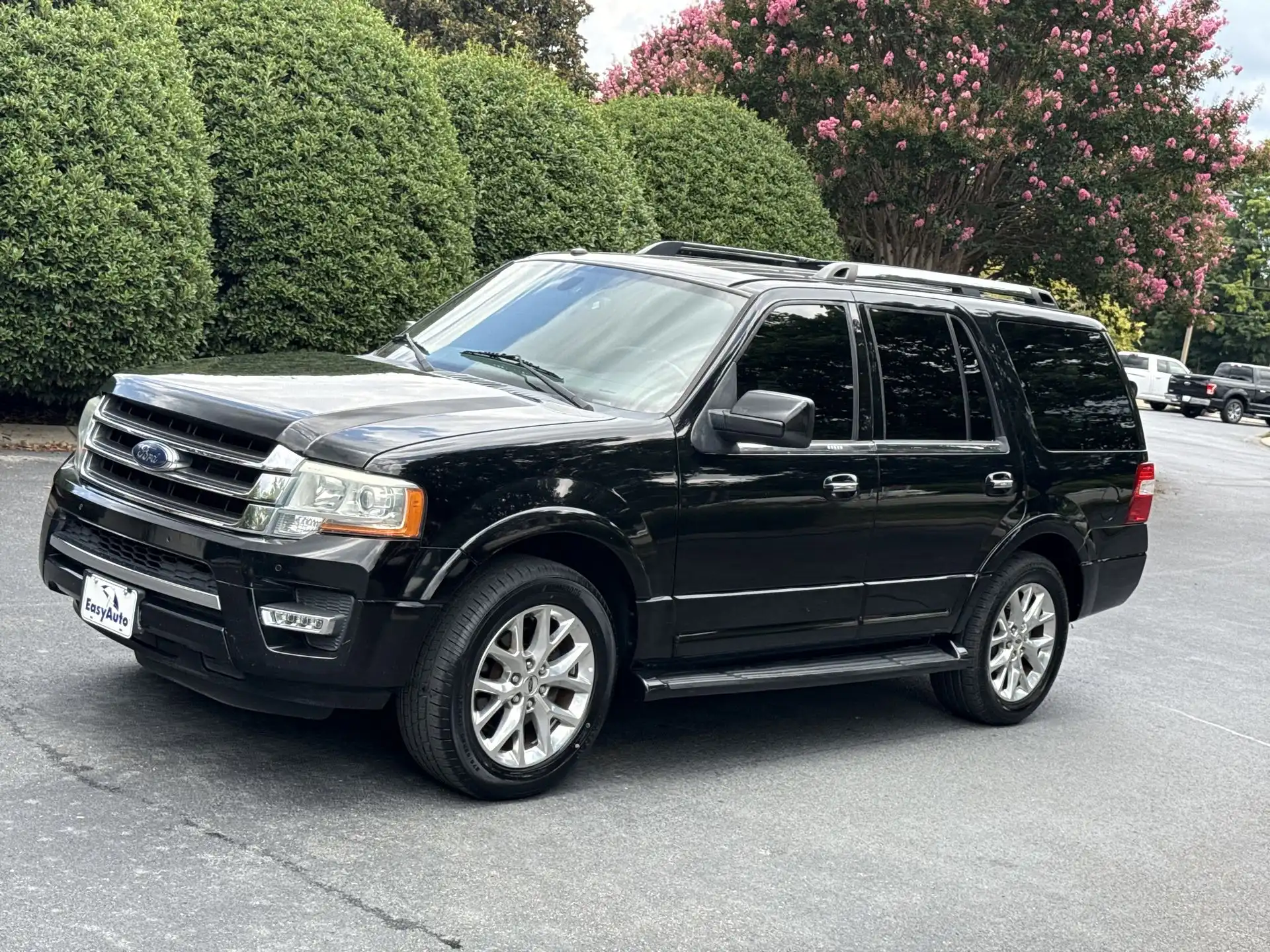 2016 Ford Expedition Limited's photo
