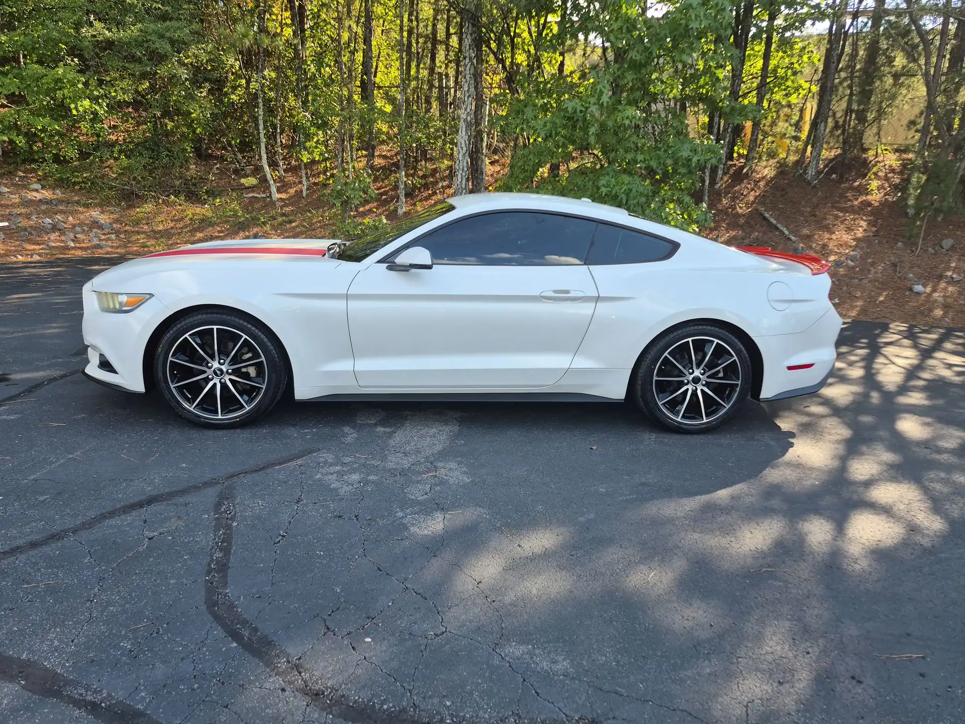 2017 Ford Mustang EcoBoost Premium Coupe's photo