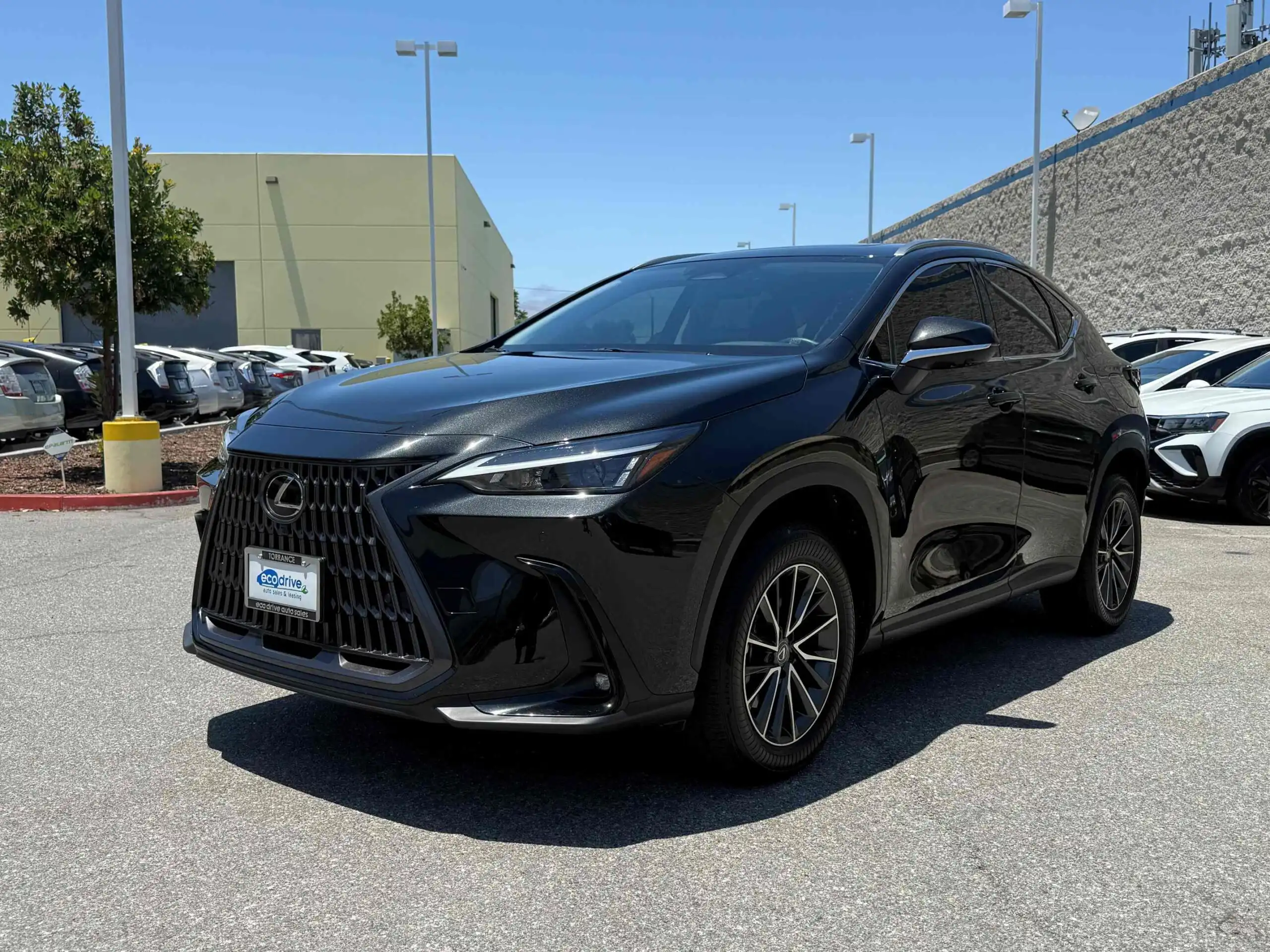 2024 Lexus NX 350h 350h Premium AWD's photo
